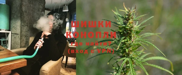 ГАЛЛЮЦИНОГЕННЫЕ ГРИБЫ Алзамай