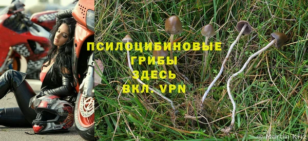 ГАЛЛЮЦИНОГЕННЫЕ ГРИБЫ Алзамай