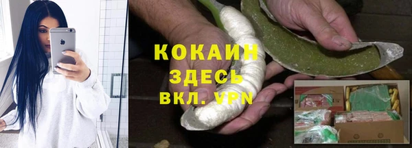 кокс Алексин