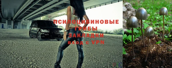 кокс Алексин