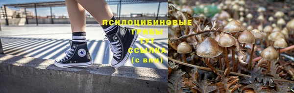 кокс Алексин