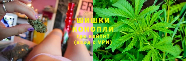 ГАЛЛЮЦИНОГЕННЫЕ ГРИБЫ Алзамай